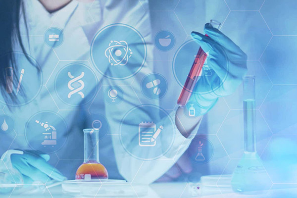 安全咨詢服務(wù)